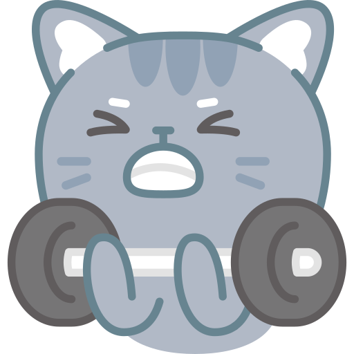 曹虹